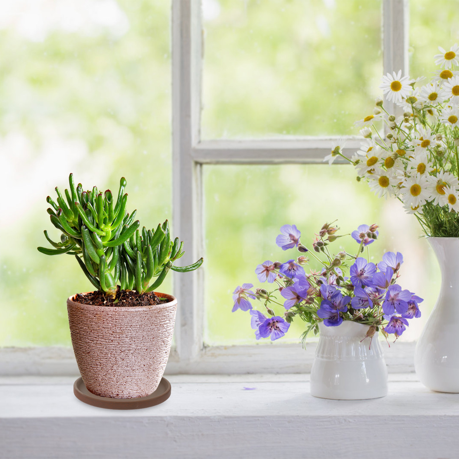 Vassoio per vaso di fiori in c - Drip Tray Saucer recensione e prezzo