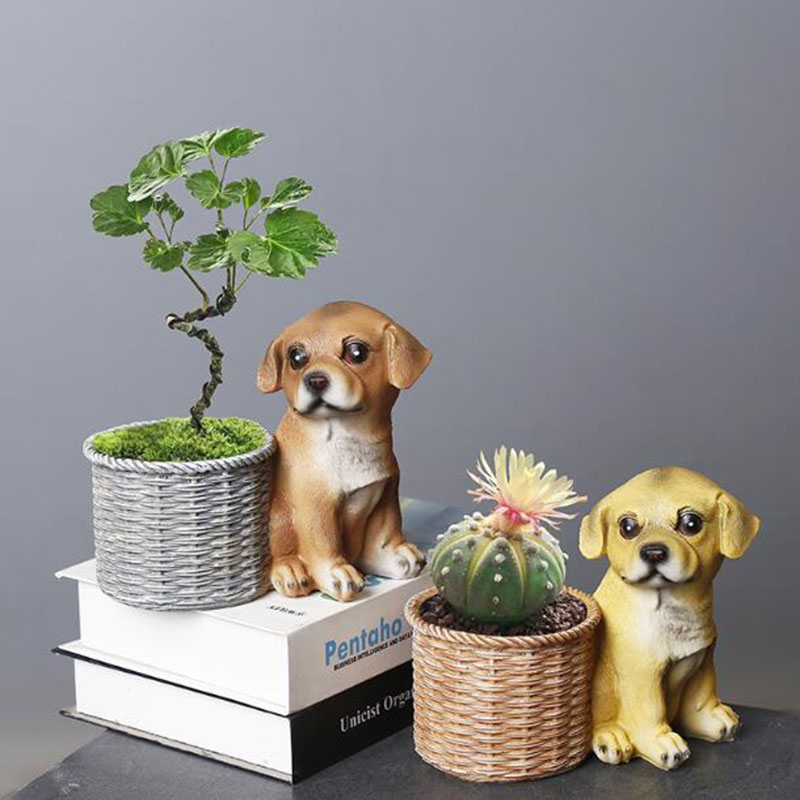Casa Soggiorno Ufficio Resina  - Bonsai Garden Art recensione e prezzo