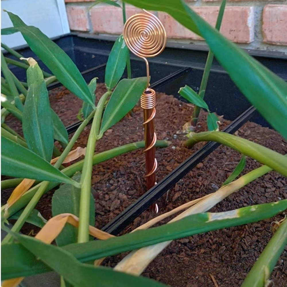 Pali a spirale per elettrocult - Copper Wire Roll recensione e prezzo