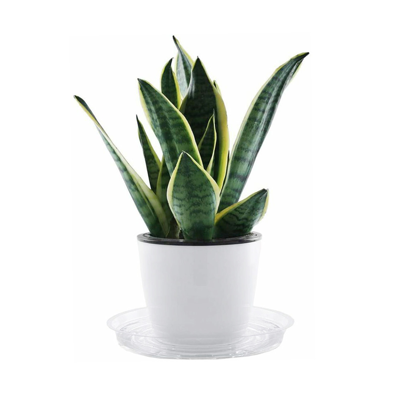 10pc Piattino per piante da gi - Drip Tray Saucer recensione e prezzo