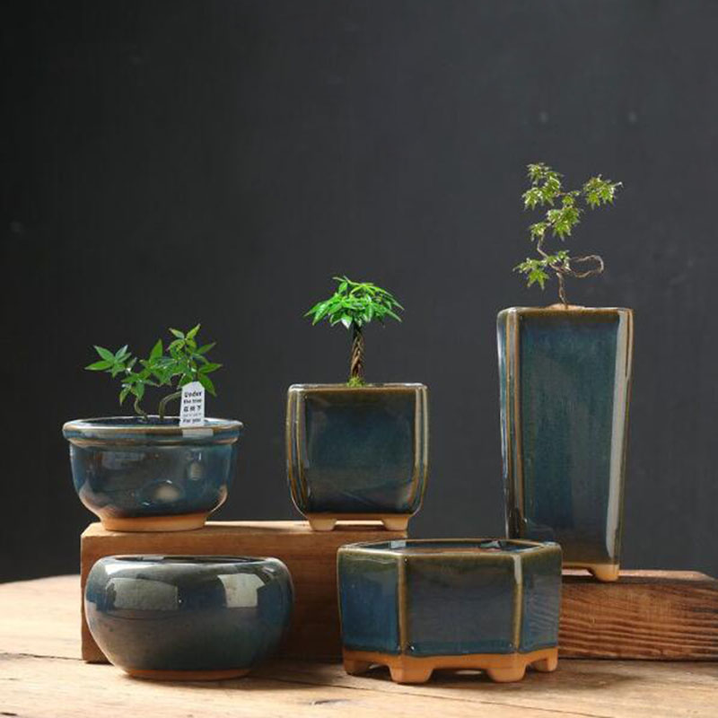 Vaso per Piante Succulente in  - Bonsai Garden Art recensione e prezzo