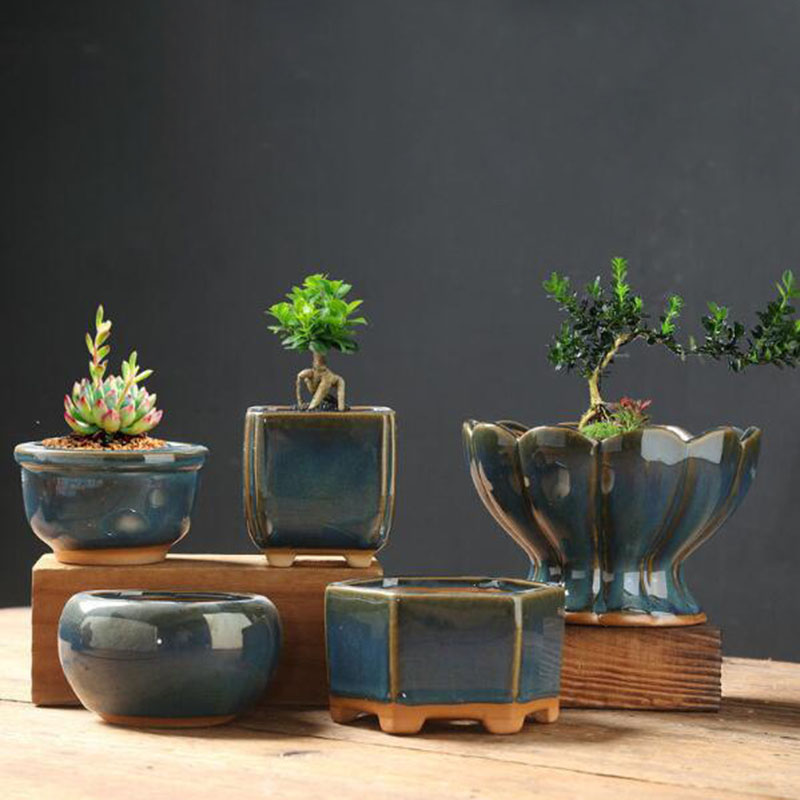 Vaso per Piante Succulente in  - Bonsai Garden Art recensione e prezzo